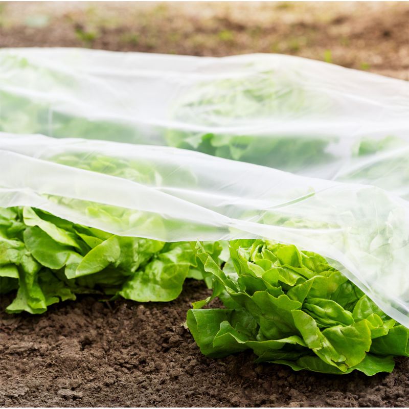 Windhager Frühbeet-Folie Supergrow 5x1,35 m