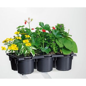 Plantiflor Bunter Balkonkasten Tradition 6er-Pack Plantiflor Bunter Balkonkasten Tradition 6er-Pack