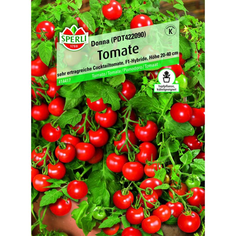 Tomate Donna Topftomate 20-40 cm