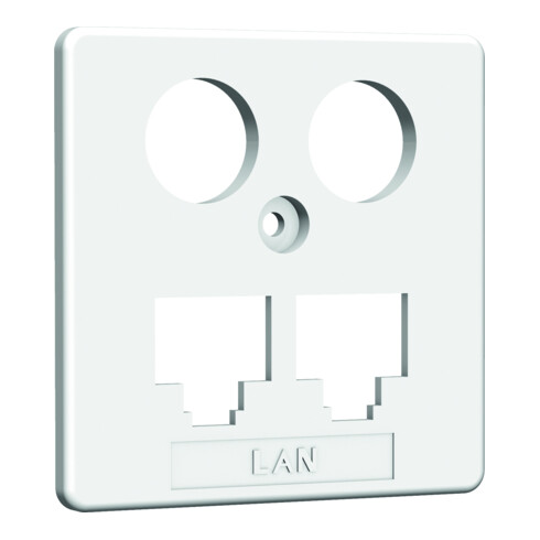 Homeway HW-ZP EK1 LAN/LAN Zentral. 50mm rws HAXHSE-G0401-C021