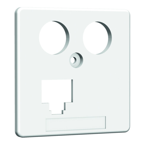 Homeway HW-ZP EK13S 8/8 RJ45 Zentr 50mm rws HAXHSE-G0401-C045