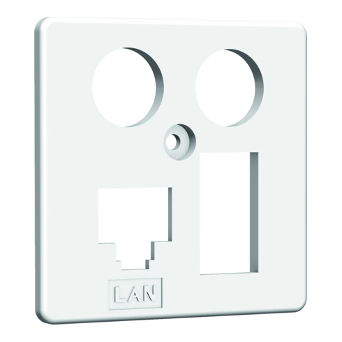 Homeway HW-ZP EK4 LAN/TAE Zentral. 50mm rws HAXHSE-G0401-C024