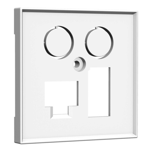 Homeway Zentralplatte 55x55mm rws TV+LAN/TAE 55x55