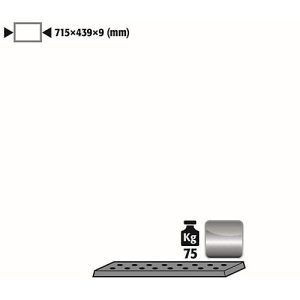 Lochblecheinsatz Standard für asecos Sicherheitsschränke der UB90 und UB30 Serie, Edelstahl 1.4016, B 717 x T 436 x H 9 mm, bis 75 kg Lochblecheinsatz Standard für asecos Sicherheitsschränke der UB90 und UB30 Serie, Edelstahl 1.4016, B 717 x T 436 x H 9 mm, bis 75 kg