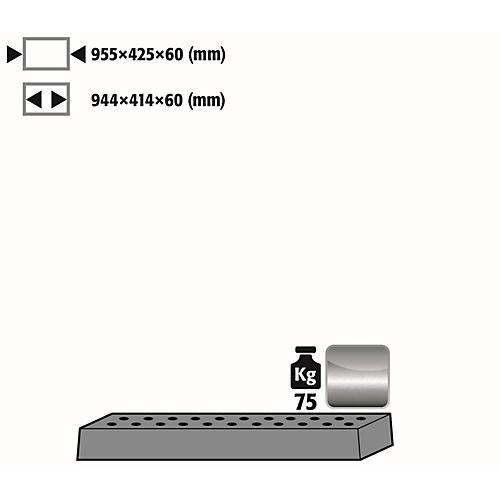 Lochblecheinsatz Standard für asecos Sicherheitsschränke der UB90 und UB30 Serie, Edelstahl 1.4301, B 955 x T 425 x H 60 mm, bis 75 kg