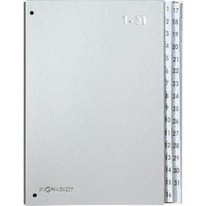 PAGNA Pultordner Silver, für DIN A4, 1 – 31, 32 Fächer, silber metallic PAGNA Pultordner Silver, für DIN A4, 1 – 31, 32 Fächer, silber metallic