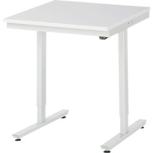Rau Arbeitstisch Adlatus, elektrisch höhenverstellbar, 22 mm Spanplatte mit Melaminbelag, bis 150 kg, B 750 x T 800 x H 720-1120 mm, lichtgrau Rau Arbeitstisch Adlatus, elektrisch höhenverstellbar, 22 mm Spanplatte mit Melaminbelag, bis 150 kg, B 750 x T 800 x H 720-1120 mm, lichtgrau