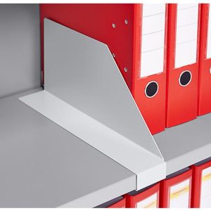 Schäfer Shop Genius Querteiler TETRIS SOLID, f. Fachböden von Flügeltürschränken, weißalu Schäfer Shop Genius Querteiler TETRIS SOLID, f. Fachböden von Flügeltürschränken, weißalu