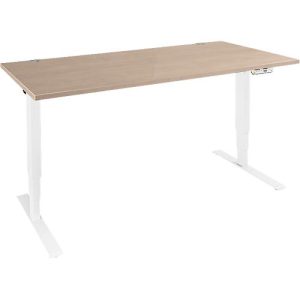 Schäfer Shop Genius Schreibtisch AERO FLEX, elektrisch höhenverstellbar, Rechteck, T-Fuß, B 1200 mm, Eiche/weiß + Memorypanel Schäfer Shop Genius Schreibtisch AERO FLEX, elektrisch höhenverstellbar, Rechteck, T-Fuß, B 1200 mm, Eiche/weiß + Memorypanel