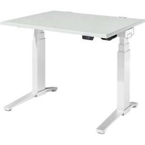 Schäfer Shop Genius Schreibtisch ERGOSTYLE S, Rechteck, elektrisch höhenverstellbar, zweistufig, C-Fuß, B 1200 x T 800 x H 635-1305 mm, inkl. Memory Master, lichtgrau/weiß Schäfer Shop Genius Schreibtisch ERGOSTYLE S, Rechteck, elektrisch höhenverstellbar, zweistufig, C-Fuß, B 1200 x T 800 x H 635-1305 mm, inkl. Memory Master, lichtgrau/weiß
