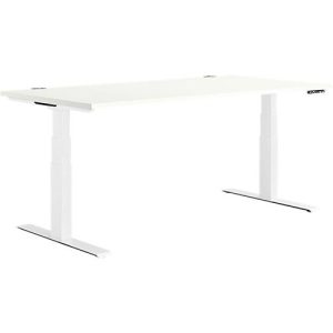 Schäfer Shop Genius Schreibtisch MODENA FLEX, elektrisch höhenverstellbar, Rechteck, T-Fuß, B 1600 x T 800 mm, weiß/weiß Schäfer Shop Genius Schreibtisch MODENA FLEX, elektrisch höhenverstellbar, Rechteck, T-Fuß, B 1600 x T 800 mm, weiß/weiß
